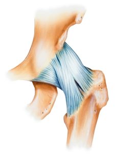 Musculoskeletal Pain